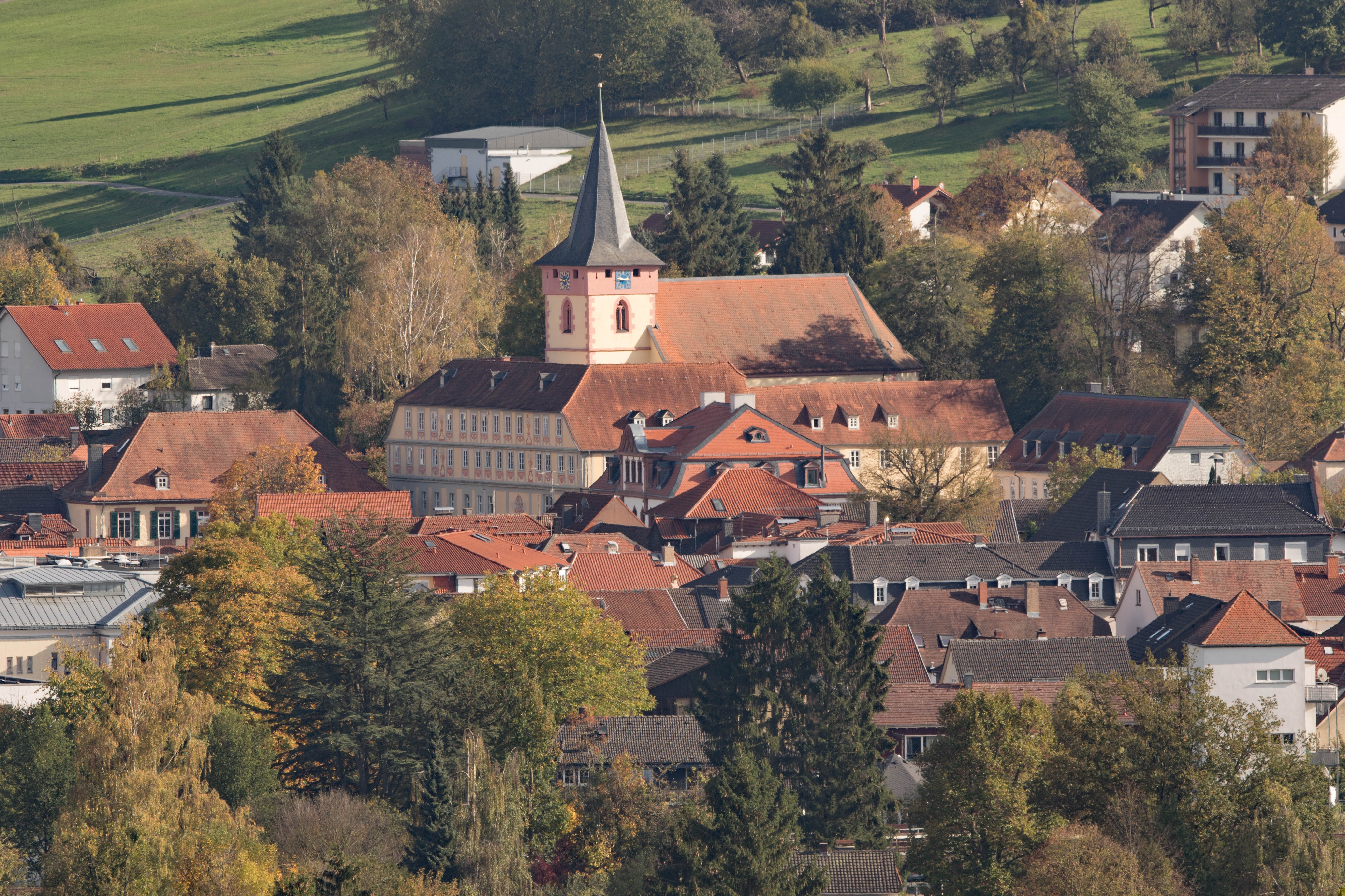 Blick auf das idyllische Bad König im Odenwald