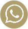 Whatsapp Icon