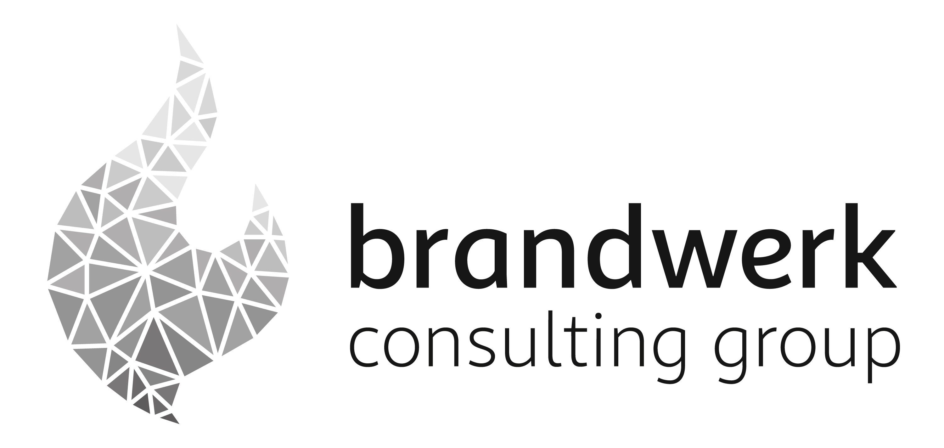 brandwerk consulting group
