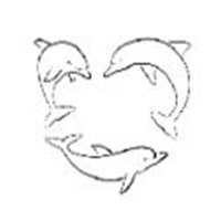 Facharztpraxis für Allgemeinmedizin Dr. med. Petra Cermak M.Sc.